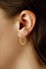 Load image into Gallery viewer, Silver Vermeil Rope Hoop Earrings