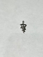 Load image into Gallery viewer, Veterinarian Caduceus Silver Charm