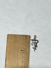 Load image into Gallery viewer, Veterinarian Caduceus Silver Charm