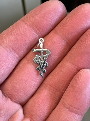 Veterinarian Caduceus Silver Charm