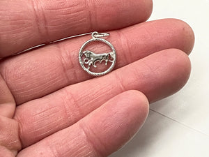 Taurus Silver Charm