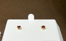 Load image into Gallery viewer, Garnet Gold Earrings