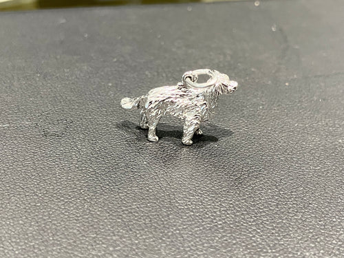 Golden Retriever Silver Charm