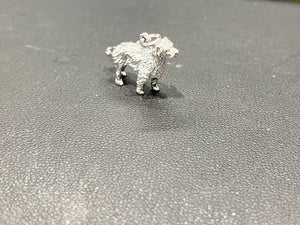 Golden Retriever Silver Charm