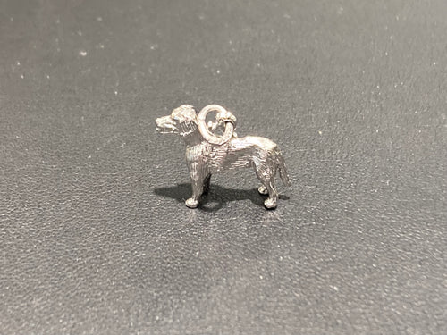 Labrador Retriever Silver Charm