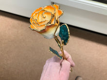 Load image into Gallery viewer, Orange And White 24k Gold Plated Real Rose