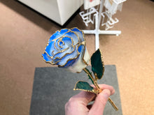 Load image into Gallery viewer, Blue And White Gold Plated Rose