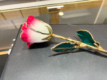 Load image into Gallery viewer, Red Pink And White 24k Gold Plated Real Rose