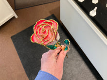 Load image into Gallery viewer, Red Pink And White 24k Gold Plated Real Rose