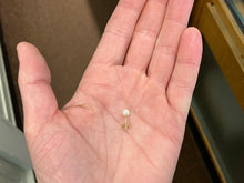 Laden Sie das Bild in den Galerie-Viewer, Cultured Pearl Gold Earring 5.25 Millimeters