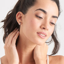 Load image into Gallery viewer, Ania Haie Luxe Huggie Hoop Silver Earring