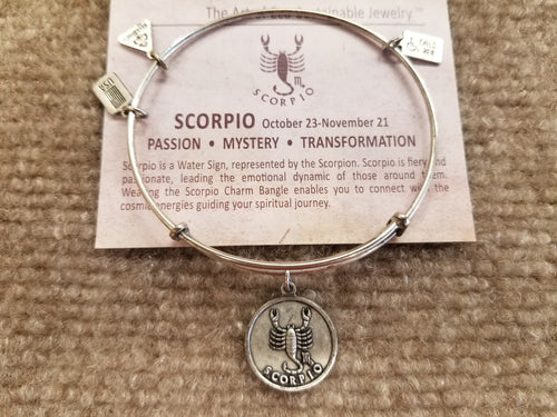 Scorpio Silver Tone Brass Expandable Charm Bracelet Wind And Fire