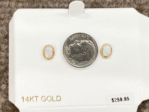 Opal 14 K Yellow Gold Earrings