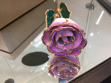 Load image into Gallery viewer, 24K Gold Rose Cream Color