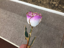 Load image into Gallery viewer, 24K Gold Rose Cream Color