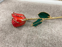 Load image into Gallery viewer, Red Rose 24K Gold Plated