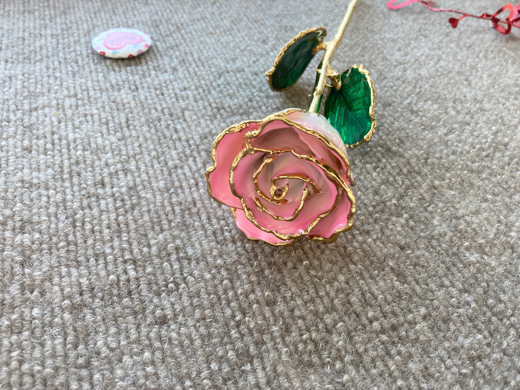 Pink And White Gold Plated Rose