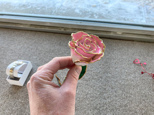 Pink And White Gold Plated Rose