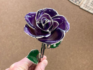 Platinum Plated Purple Real Rose