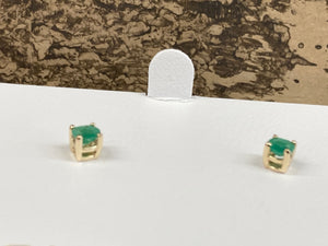 Emerald 14 K Yellow Gold Stud Earrings